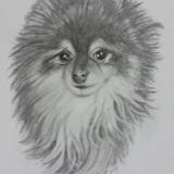 fluffy