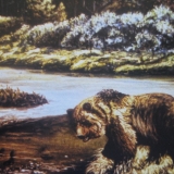 The Fishing Hole on the Coldbrook