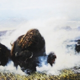 Fury on the Plains