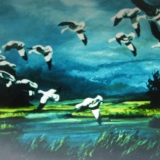 Snow Geese at McQueen's Slough