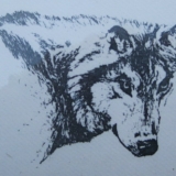 El Lobo Del Norte